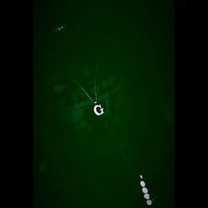 Meet your Posher, Jemichael